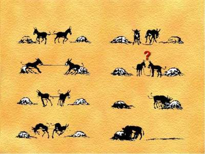 Valor de la Cooperación