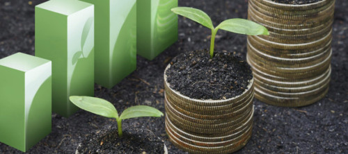 inadem-890x395_c-e1447194019907