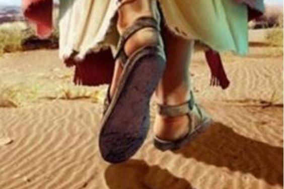 7841aab941f763d905e8937869ad95d0