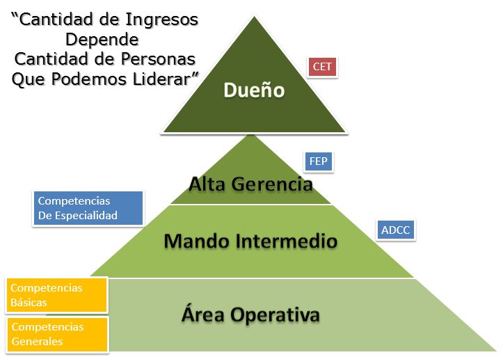 ¿Qué Competencias proporcionales son requeridas?